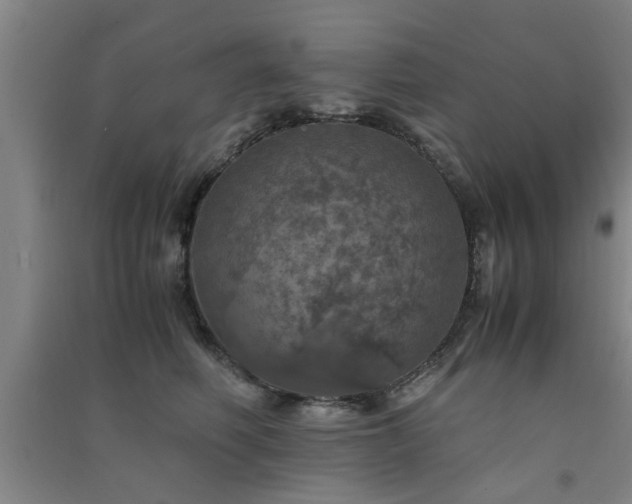 X0000091550614200708171307