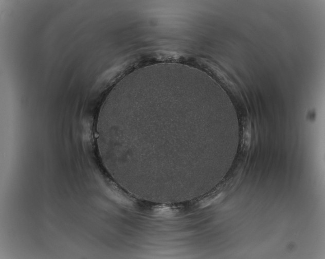 X0000091550616200708171307