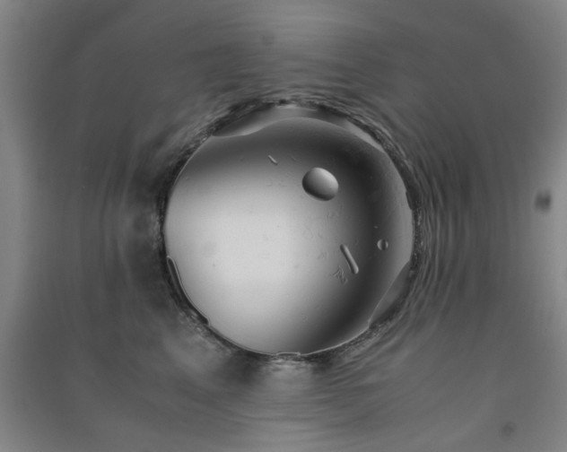 X0000091550617200708171307