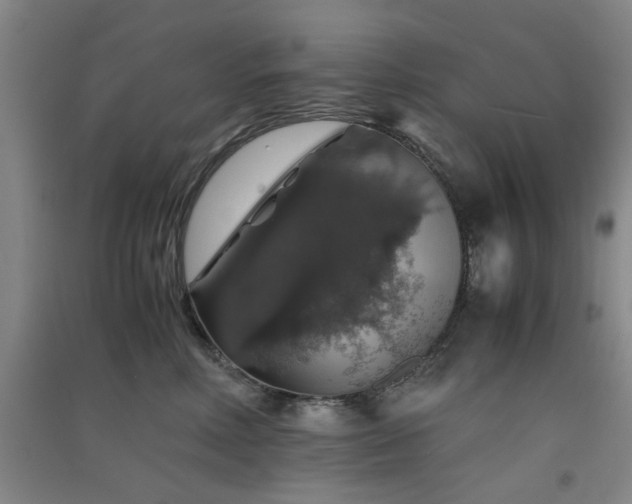 X0000091550618200708171307