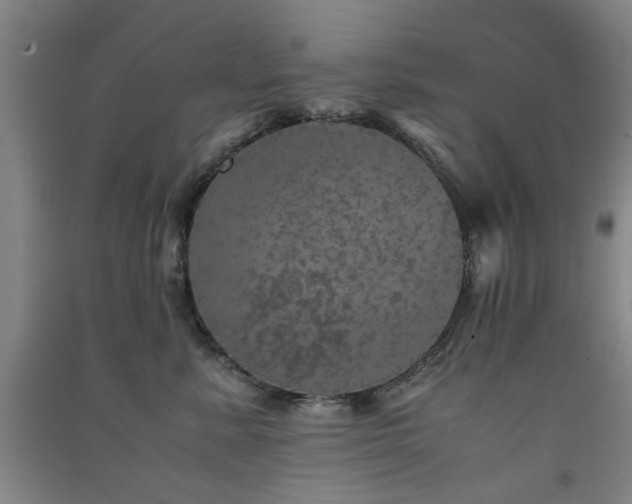 X0000091550619200708171307