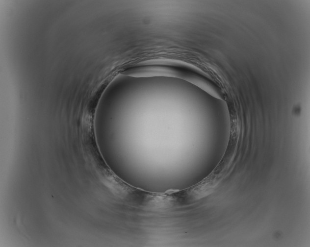 X0000091550621200708171306