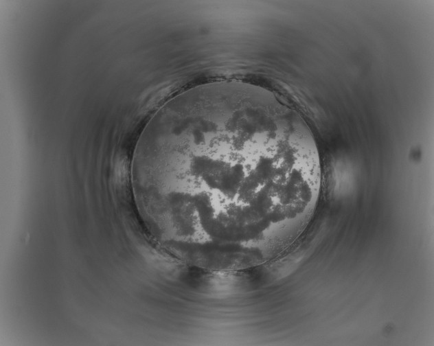 X0000091550623200708171306