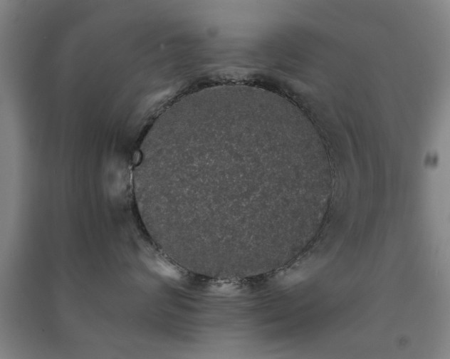 X0000091550624200708171306
