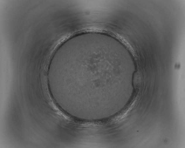 X0000091550625200708171306