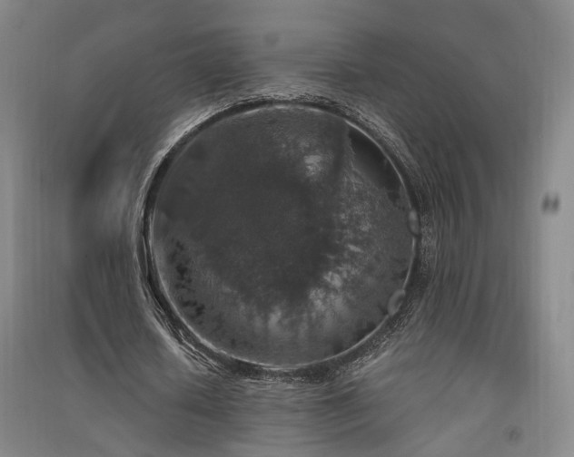 X0000091550626200708171306
