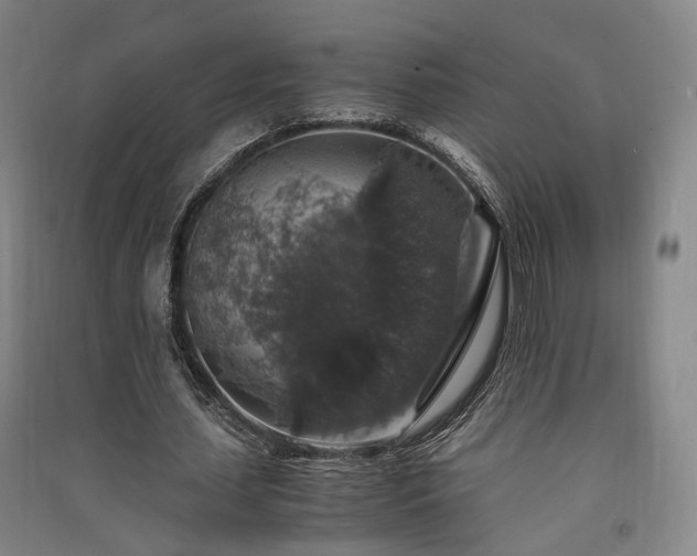 X0000091550627200708171306