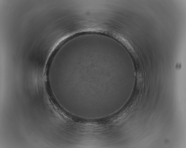 X0000091550628200708171306
