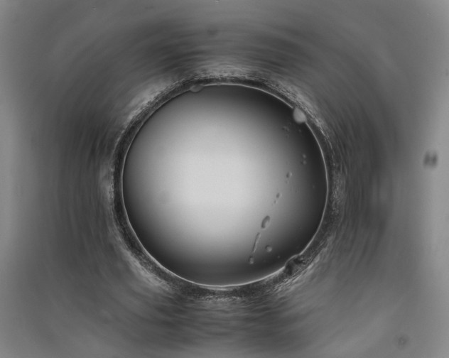 X0000091550629200708171306