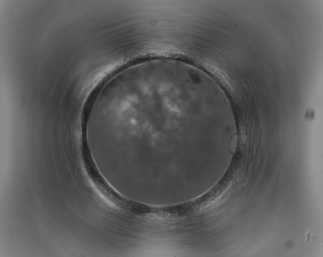 X0000091550630200708171306