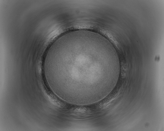 X0000091550631200708171306