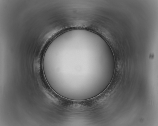 X0000091550632200708171306