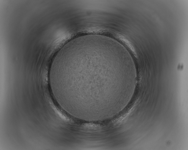 X0000091550633200708171306