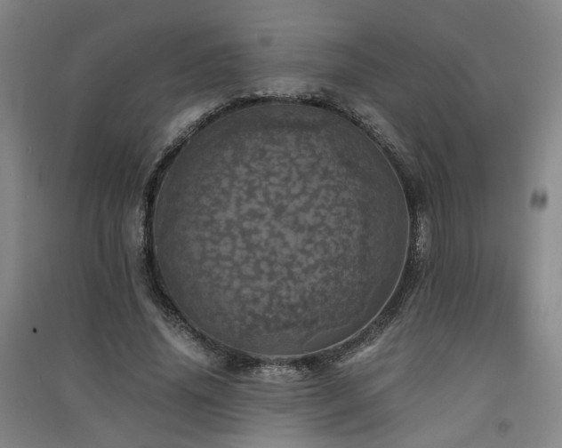 X0000091550636200708171306