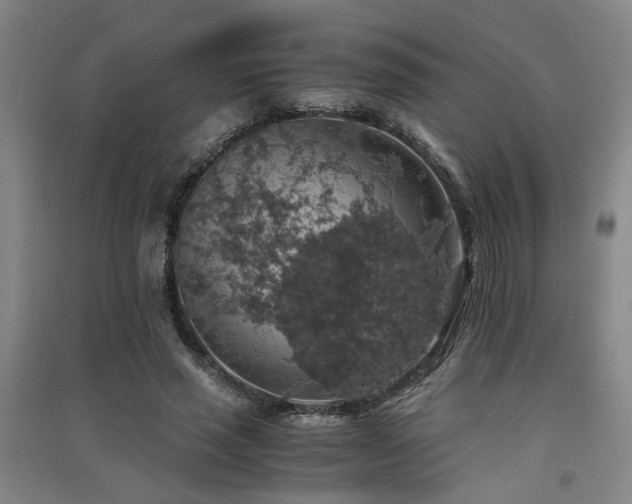 X0000091550637200708171306
