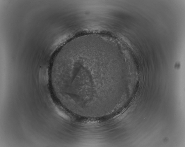 X0000091550638200708171306