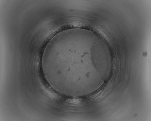 X0000091550639200708171306