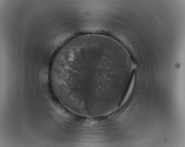 X0000091550640200708171306