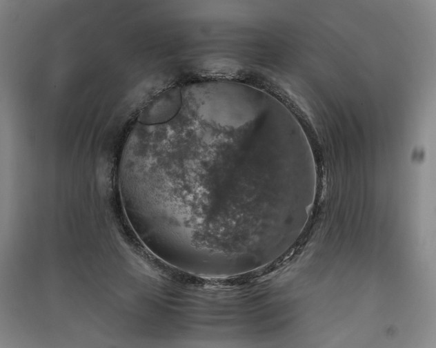 X0000091550641200708171306