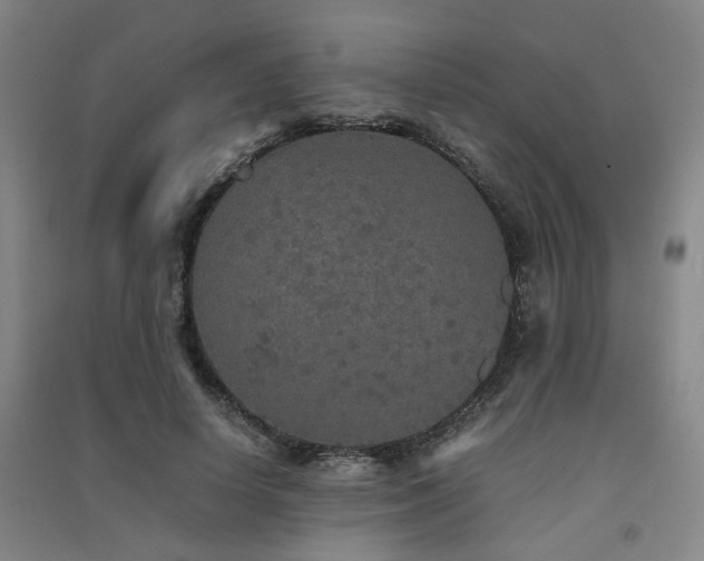 X0000091550642200708171306