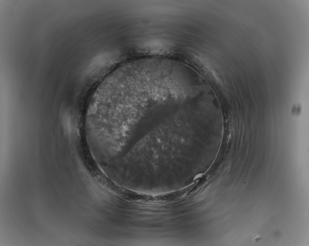 X0000091550643200708171306