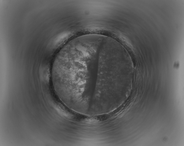X0000091550644200708171306