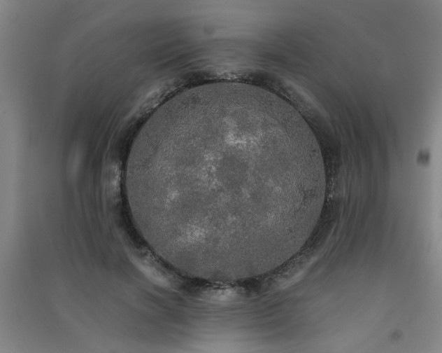 X0000091550646200708171306
