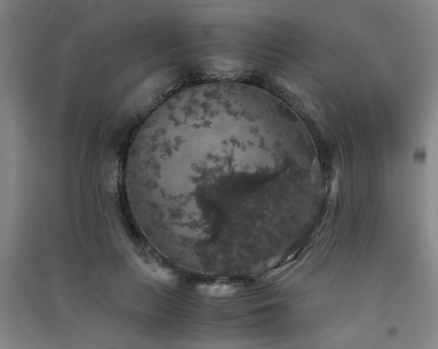 X0000091550647200708171306