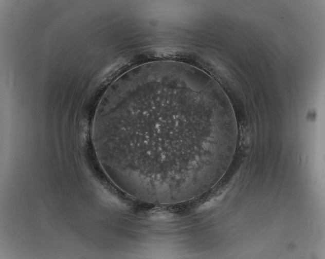 X0000091550648200708171306