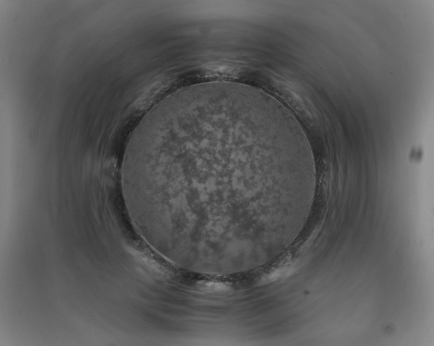 X0000091550649200708171306