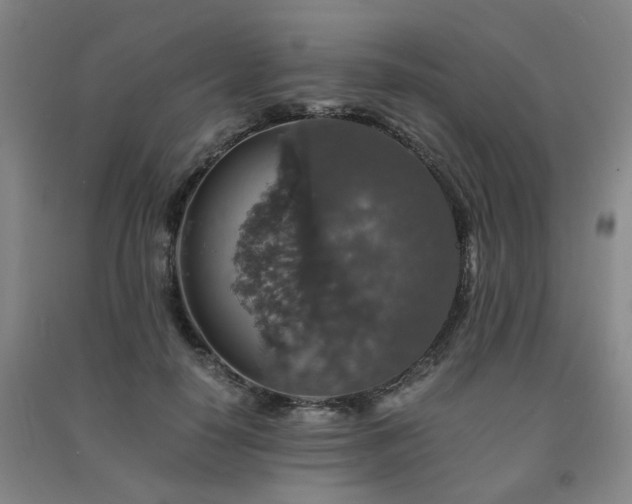 X0000091550650200708171306