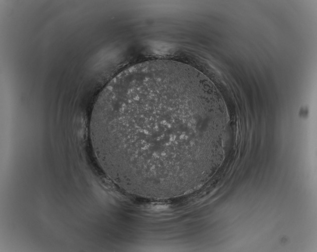 X0000091550651200708171306