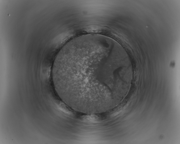 X0000091550652200708171306