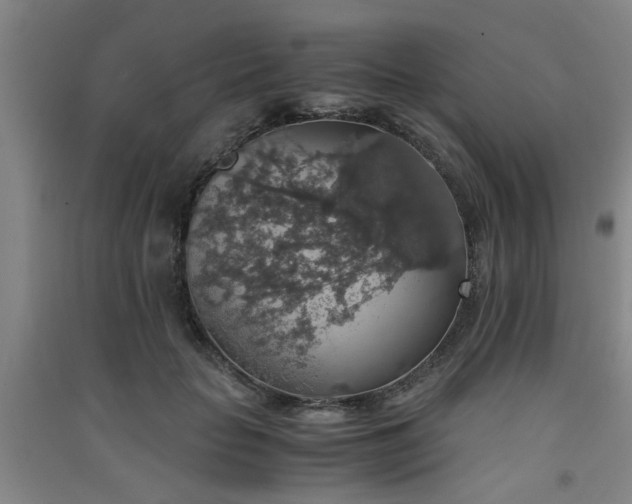 X0000091550653200708171306