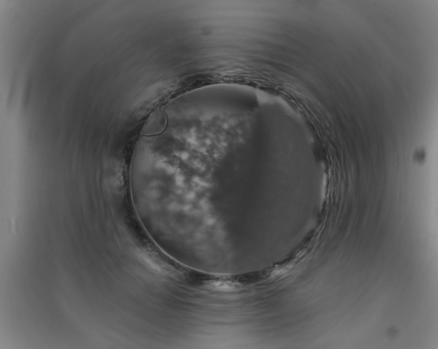 X0000091550654200708171306