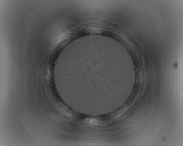 X0000091550655200708171306