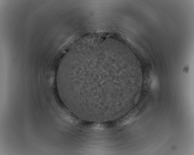 X0000091550656200708171306