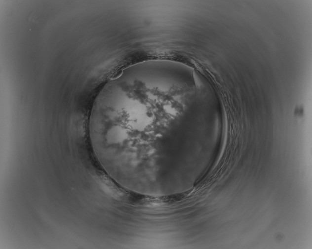 X0000091550658200708171306