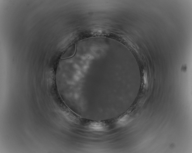 X0000091550659200708171306