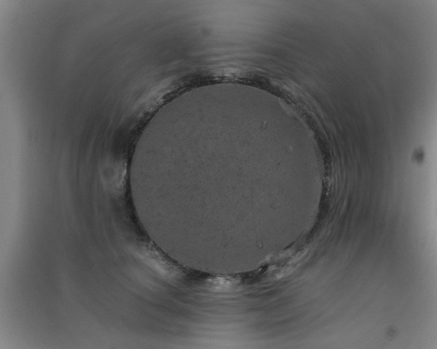 X0000091550660200708171306