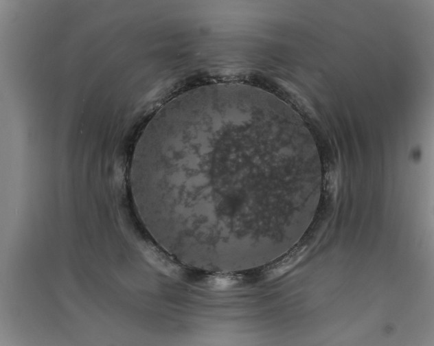 X0000091550662200708171306