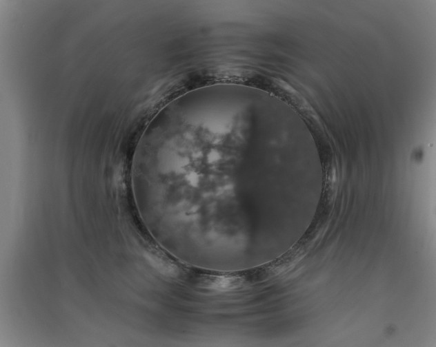 X0000091550663200708171306