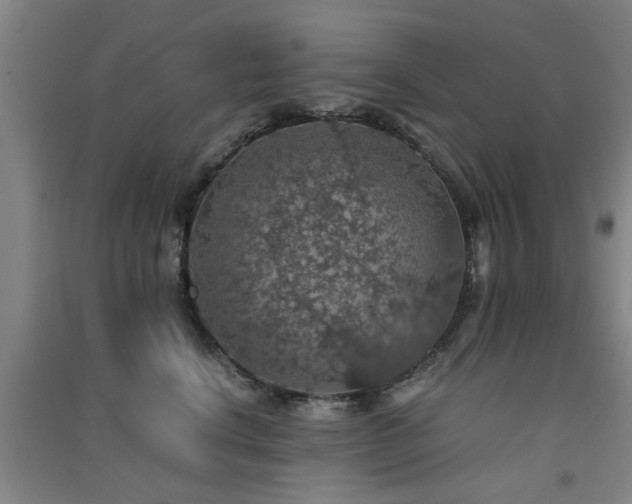 X0000091550664200708171306