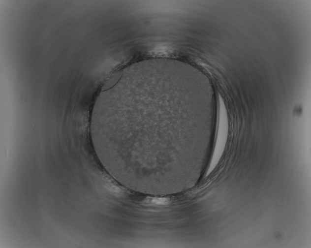 X0000091550665200708171306