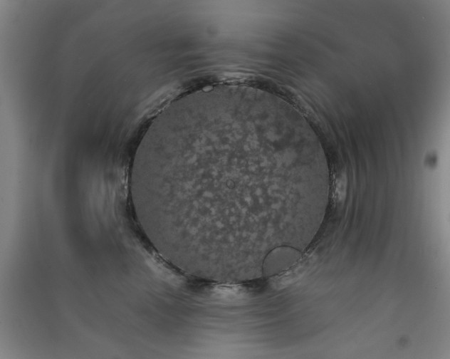 X0000091550666200708171306