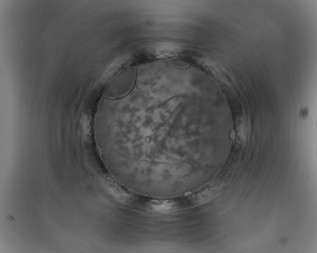 X0000091550667200708171306