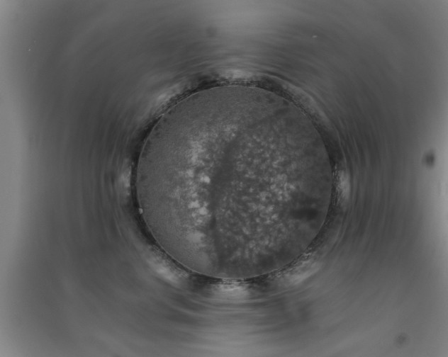X0000091550668200708171306