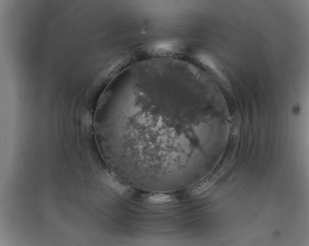 X0000091550669200708171306