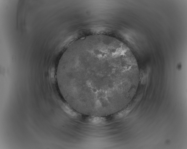 X0000091550670200708171306