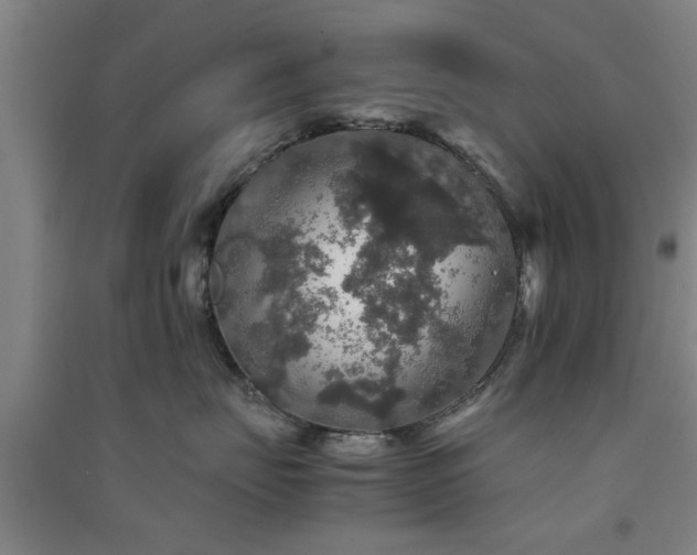 X0000091550671200708171306